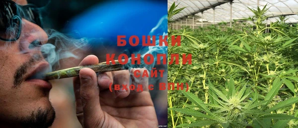 Альфа ПВП Няндома