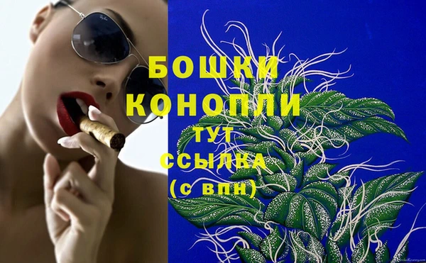 гидра Нязепетровск