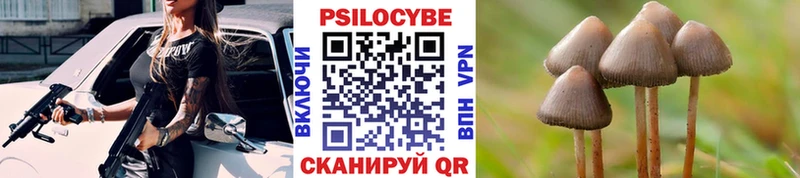 Галлюциногенные грибы Magic Shrooms  Урус-Мартан 
