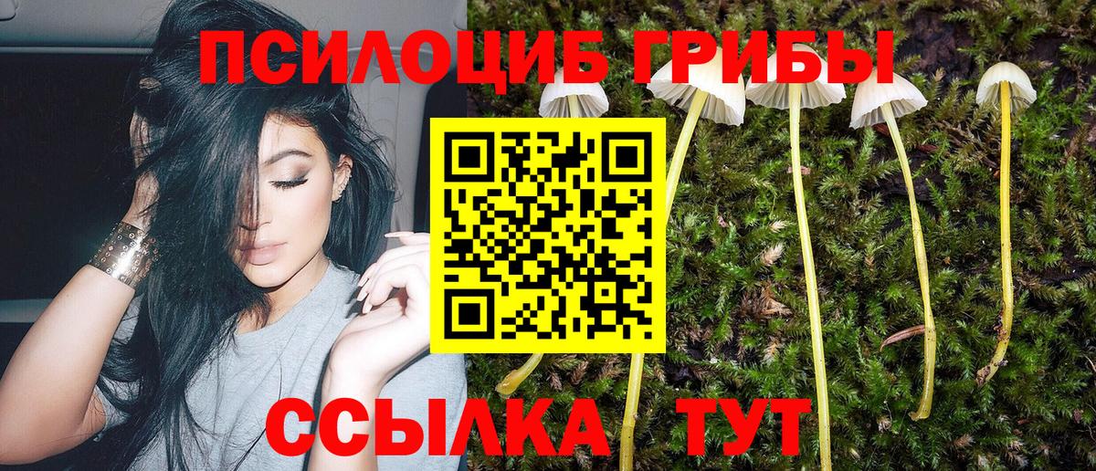 Alpha PVP Урус-Мартан