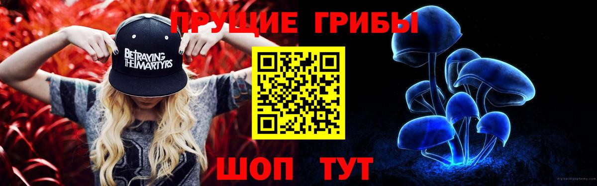 Галлюциногенные грибы MAGIC MUSHROOMS  Вход с VPN  Урус-Мартан 